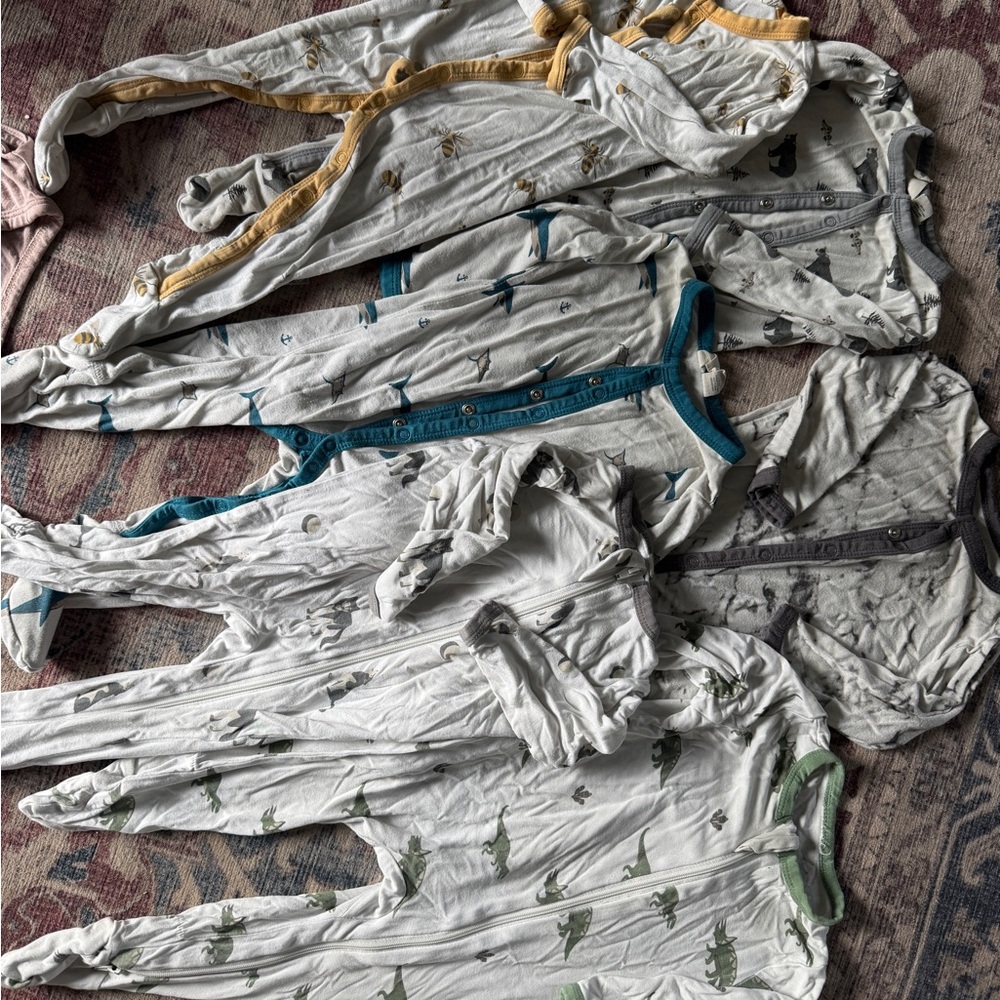 Assorted Baby Onesies with Dinosaur Print